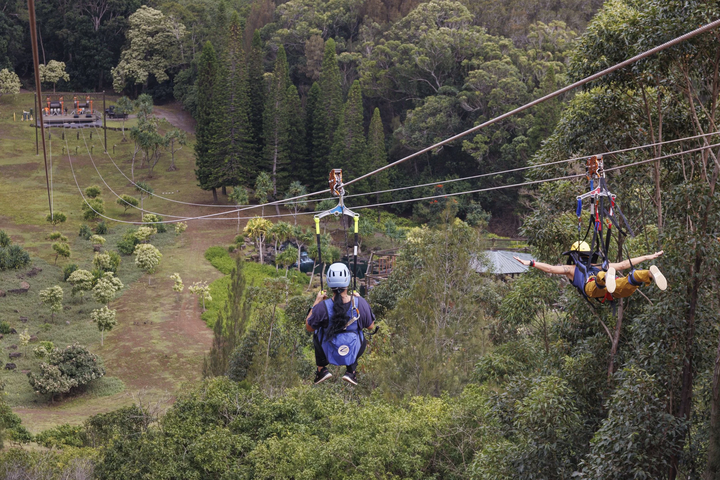 Ziplines — Lanai Adventures